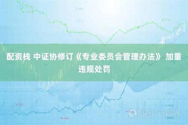 配资栈 中证协修订《专业委员会管理办法》 加重违规处罚