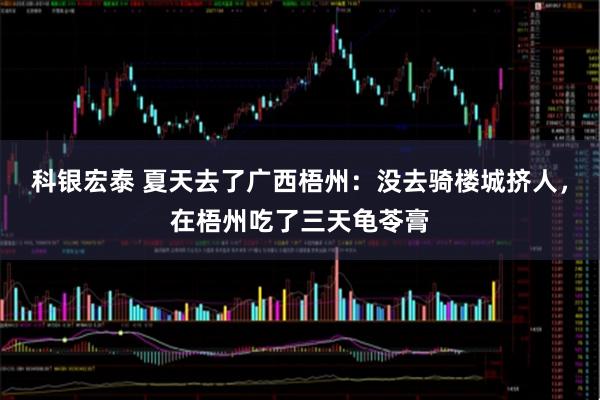 科银宏泰 夏天去了广西梧州：没去骑楼城挤人，在梧州吃了三天龟苓膏