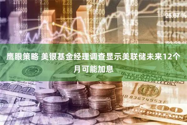 鹰眼策略 美银基金经理调查显示美联储未来12个月可能加息
