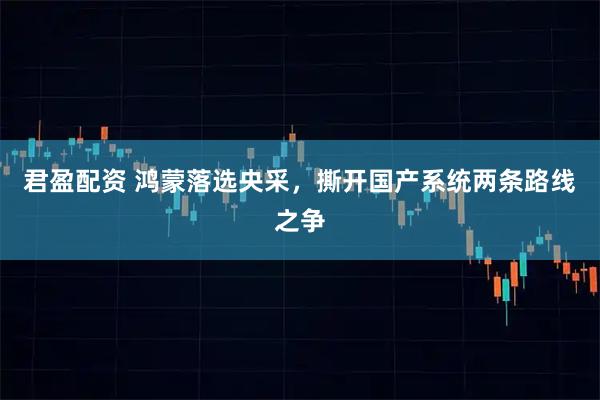 君盈配资 鸿蒙落选央采，撕开国产系统两条路线之争