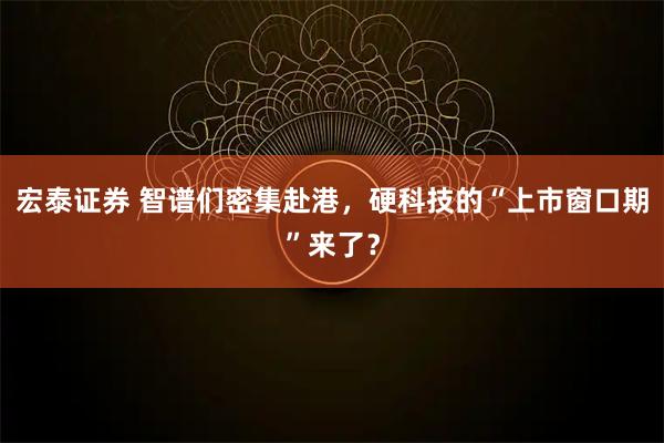 宏泰证券 智谱们密集赴港，硬科技的“上市窗口期”来了？
