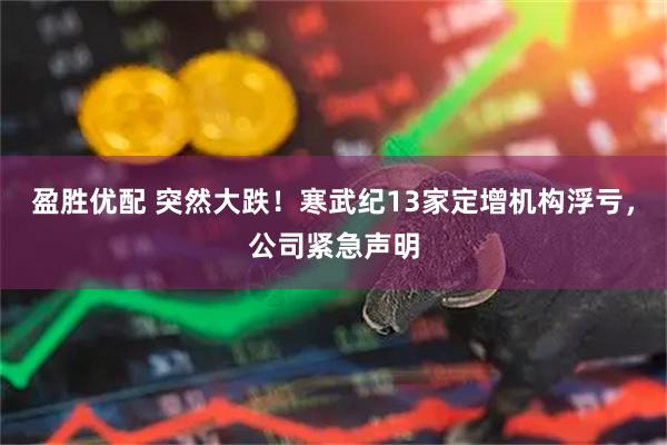 盈胜优配 突然大跌！寒武纪13家定增机构浮亏，公司紧急声明