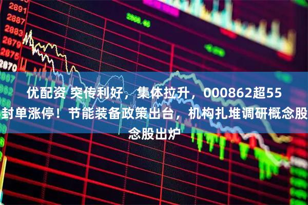 优配资 突传利好，集体拉升，000862超55万手封单涨停！节能装备政策出台，机构扎堆调研概念股出炉