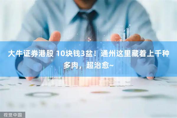大牛证券港股 10块钱3盆!通州这里藏着上千种多肉,超治愈~