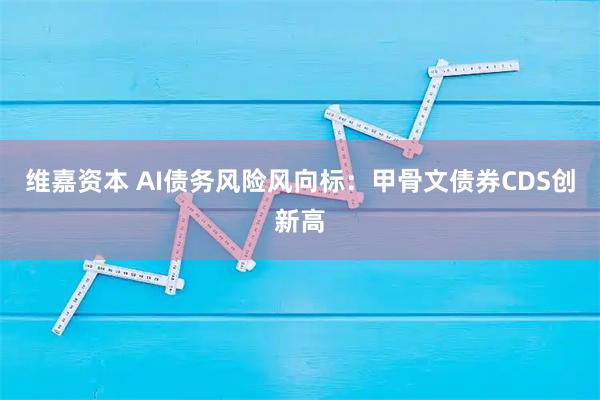 维嘉资本 AI债务风险风向标：甲骨文债券CDS创新高
