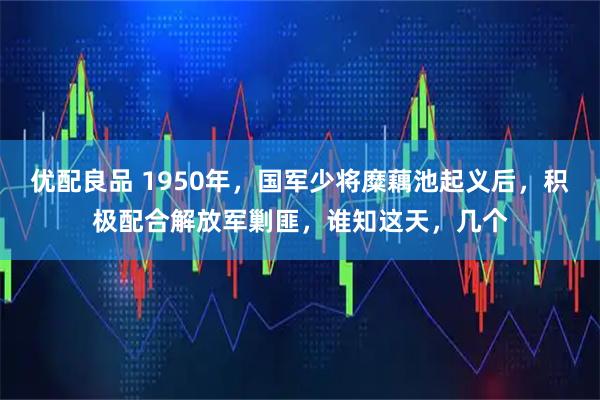优配良品 1950年，国军少将糜藕池起义后，积极配合解放军剿匪，谁知这天，几个