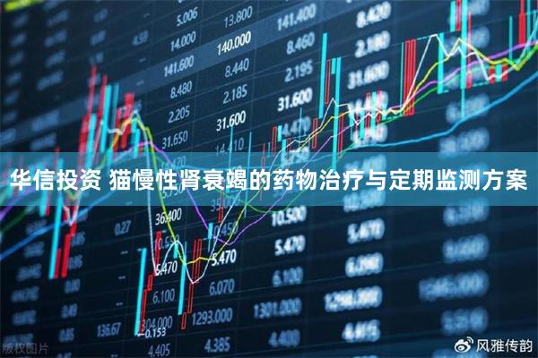 华信投资 猫慢性肾衰竭的药物治疗与定期监测方案
