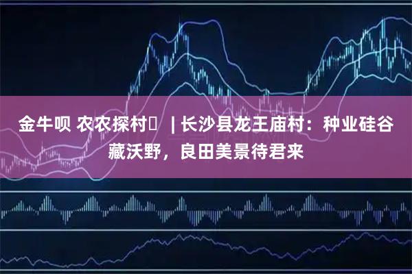 金牛呗 农农探村㉔ | 长沙县龙王庙村：种业硅谷藏沃野，良田美景待君来