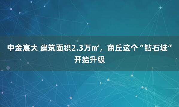 中金宸大 建筑面积2.3万㎡，商丘这个“钻石城”开始升级