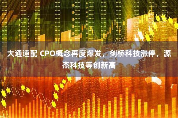 大通速配 CPO概念再度爆发，剑桥科技涨停，源杰科技等创新高