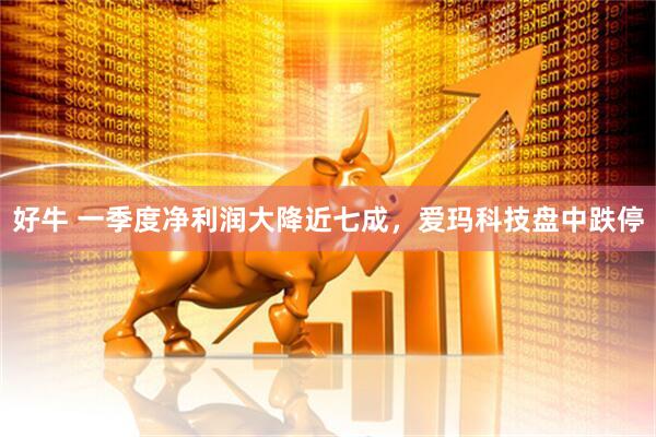 好牛 一季度净利润大降近七成，爱玛科技盘中跌停