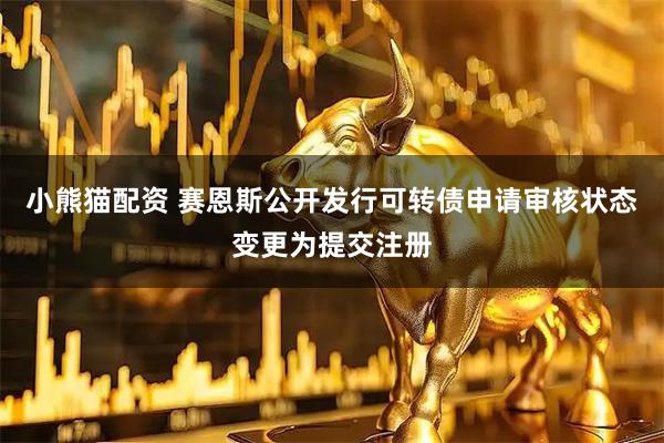 小熊猫配资 赛恩斯公开发行可转债申请审核状态变更为提交注册
