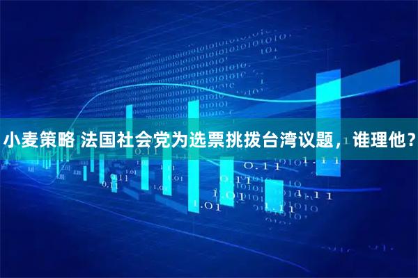 小麦策略 法国社会党为选票挑拨台湾议题，谁理他？