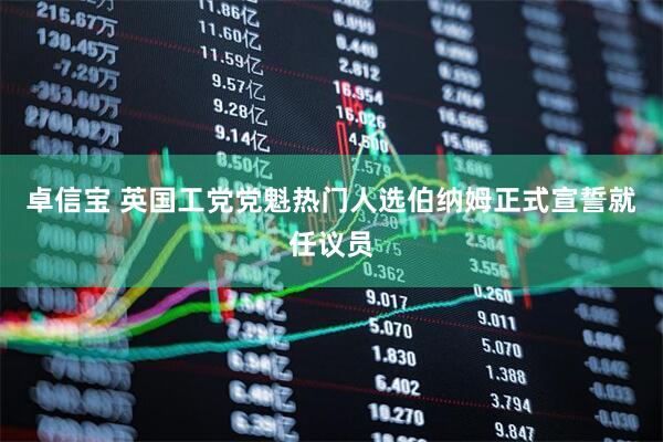 卓信宝 英国工党党魁热门人选伯纳姆正式宣誓就任议员