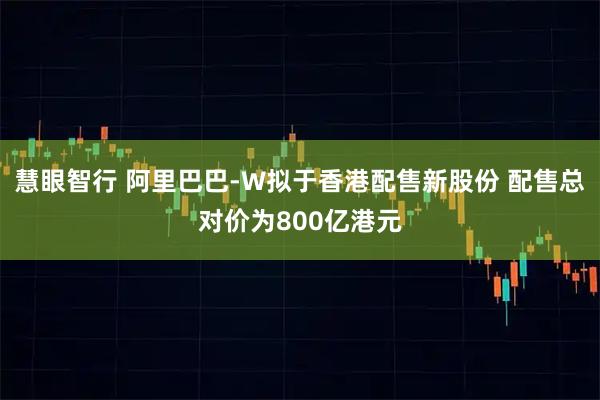 慧眼智行 阿里巴巴-W拟于香港配售新股份 配售总对价为800亿港元